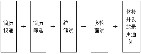 招聘流程